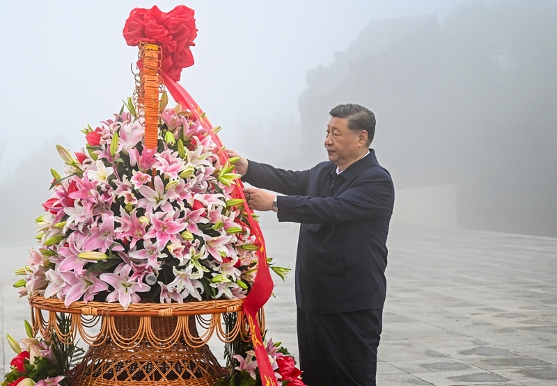 一码中特